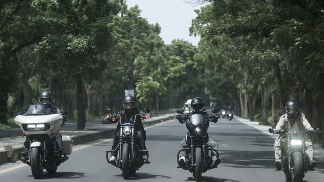 Viral Touring Artis dengan Harley-Davidson Tanpa Plat Nomor Depan